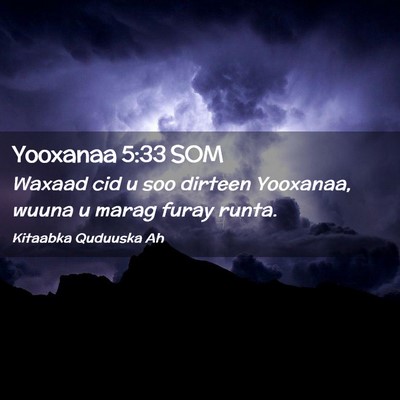 Picture 02 - Yooxanaa 5:33 SOM - Waxaad cid u soo dirteen Yooxanaa, wuuna u marag - Bible Verse Picture