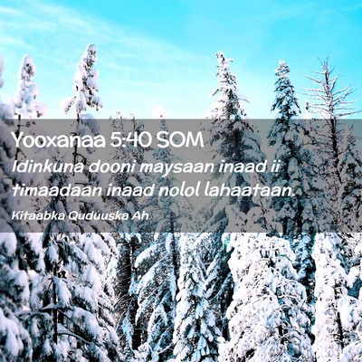Picture 02 - Yooxanaa 5:40 SOM - Idinkuna dooni maysaan inaad ii timaadaan inaad - Bible Verse Picture