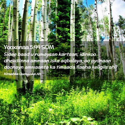 Picture 02 - Yooxanaa 5:44 SOM - Sidee baad u rumaysan kartaan, idinkoo dhexdiinna - Bible Verse Picture