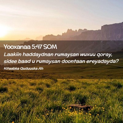 Picture 02 - Yooxanaa 5:47 SOM - Laakiin haddaydnan rumaysan wuxuu qoray, sidee - Bible Verse Picture