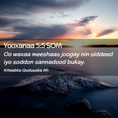 Picture 02 - Yooxanaa 5:5 SOM - Oo waxaa meeshaas joogay nin siddeed iyo soddon - Bible Verse Picture