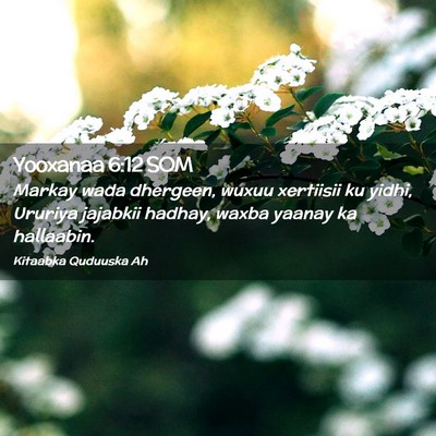 Picture 02 - Yooxanaa 6:12 SOM - Markay wada dhergeen, wuxuu xertiisii ku yidhi, - Bible Verse Picture