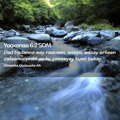 Picture 02 - Yooxanaa 6:2 SOM - Dad badanna way raaceen, waayo, waxay arkeen - Bible Verse Picture
