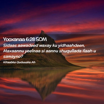 Picture 02 - Yooxanaa 6:28 SOM - Sidaas aawadeed waxay ku yidhaahdeen, Maxaannu - Bible Verse Picture
