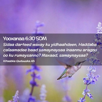 Picture 02 - Yooxanaa 6:30 SOM - Sidaa darteed waxay ku yidhaahdeen, Haddaba - Bible Verse Picture