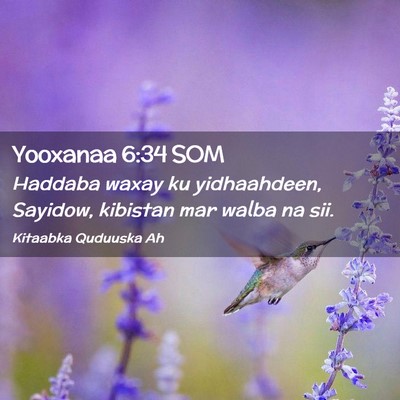 Picture 02 - Yooxanaa 6:34 SOM - Haddaba waxay ku yidhaahdeen, Sayidow, kibistan - Bible Verse Picture