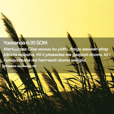 Picture 02 - Yooxanaa 6:35 SOM - Markaasaa Ciise wuxuu ku yidhi, Anigu waxaan ahay - Bible Verse Picture