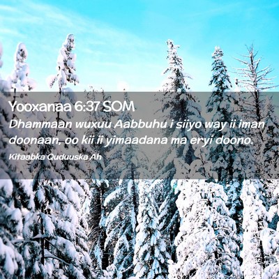 Picture 02 - Yooxanaa 6:37 SOM - Dhammaan wuxuu Aabbuhu i siiyo way ii iman - Bible Verse Picture