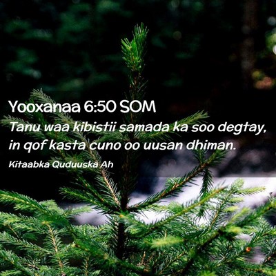 Picture 02 - Yooxanaa 6:50 SOM - Tanu waa kibistii samada ka soo degtay, in qof - Bible Verse Picture