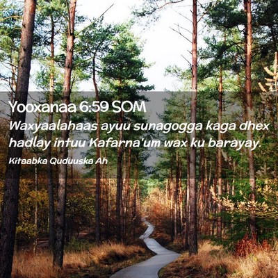 Picture 02 - Yooxanaa 6:59 SOM - Waxyaalahaas ayuu sunagogga kaga dhex hadlay - Bible Verse Picture