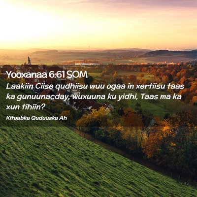 Picture 02 - Yooxanaa 6:61 SOM - Laakiin Ciise qudhiisu wuu ogaa in xertiisu taas - Bible Verse Picture