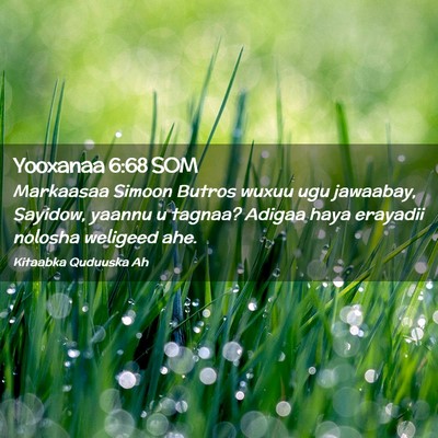 Picture 02 - Yooxanaa 6:68 SOM - Markaasaa Simoon Butros wuxuu ugu jawaabay, - Bible Verse Picture