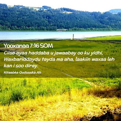 Picture 02 - Yooxanaa 7:16 SOM - Ciise ayaa haddaba u jawaabay oo ku yidhi, - Bible Verse Picture
