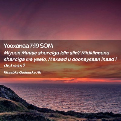 Picture 02 - Yooxanaa 7:19 SOM - Miyaan Muuse sharciga idin siin? Midkiinnana - Bible Verse Picture