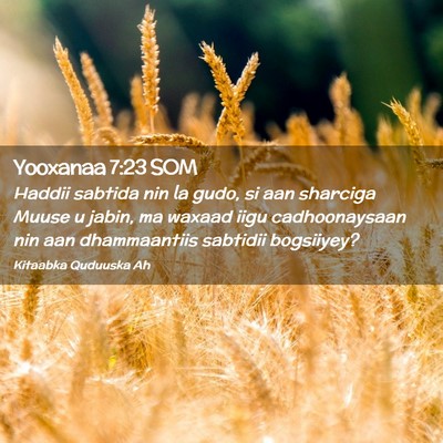 Picture 02 - Yooxanaa 7:23 SOM - Haddii sabtida nin la gudo, si aan sharciga Muuse - Bible Verse Picture