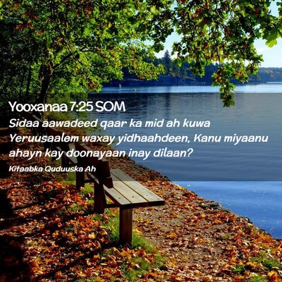Picture 02 - Yooxanaa 7:25 SOM - Sidaa aawadeed qaar ka mid ah kuwa Yeruusaalem - Bible Verse Picture