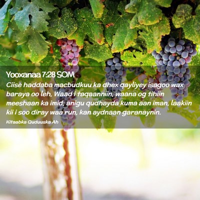 Picture 02 - Yooxanaa 7:28 SOM - Ciise haddaba macbudkuu ka dhex qayliyey isagoo - Bible Verse Picture