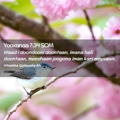 Picture 02 - Yooxanaa 7:34 SOM - Waad i doondooni doontaan, imana heli doontaan, - Bible Verse Picture