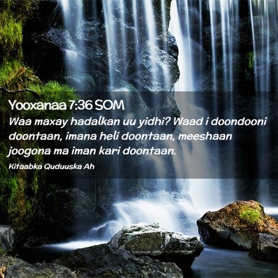 Picture 02 - Yooxanaa 7:36 SOM - Waa maxay hadalkan uu yidhi? Waad i doondooni - Bible Verse Picture