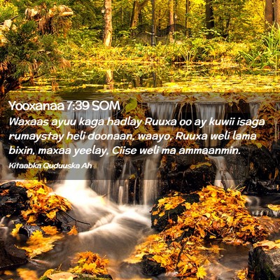 Picture 02 - Yooxanaa 7:39 SOM - Waxaas ayuu kaga hadlay Ruuxa oo ay kuwii isaga - Bible Verse Picture