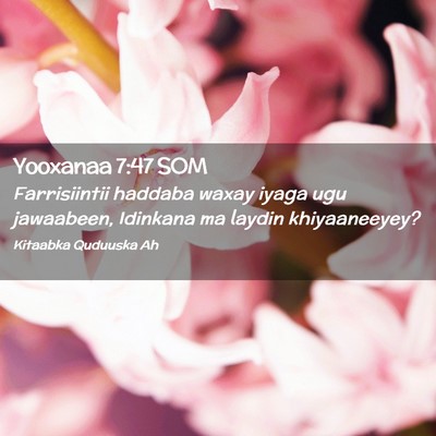 Picture 02 - Yooxanaa 7:47 SOM - Farrisiintii haddaba waxay iyaga ugu jawaabeen, - Bible Verse Picture