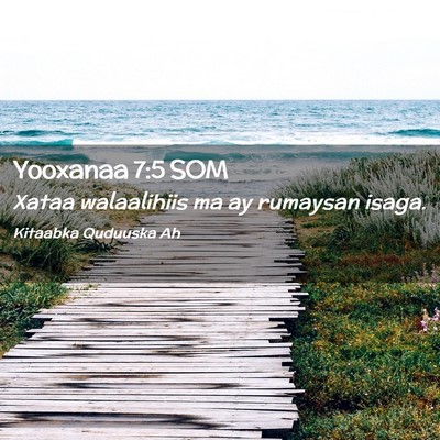 Picture 02 - Yooxanaa 7:5 SOM - Xataa walaalihiis ma ay rumaysan - Bible Verse Picture