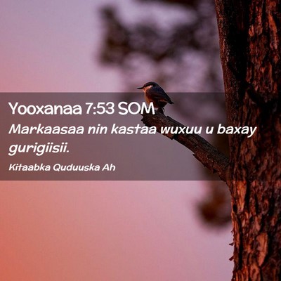 Picture 02 - Yooxanaa 7:53 SOM - Markaasaa nin kastaa wuxuu u baxay - Bible Verse Picture