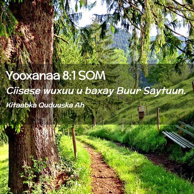 Picture 02 - Yooxanaa 8:1 SOM - Ciisese wuxuu u baxay Buur - Bible Verse Picture