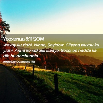 Picture 02 - Yooxanaa 8:11 SOM - Waxay ku tidhi, Ninna, Sayidow. Ciisena wuxuu ku - Bible Verse Picture