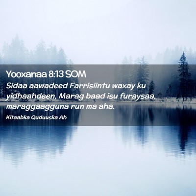 Picture 02 - Yooxanaa 8:13 SOM - Sidaa aawadeed Farrisiintu waxay ku yidhaahdeen, - Bible Verse Picture