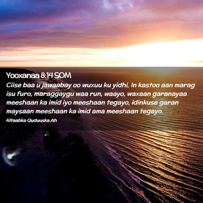 Picture 02 - Yooxanaa 8:14 SOM - Ciise baa u jawaabay oo wuxuu ku yidhi, In kastoo - Bible Verse Picture