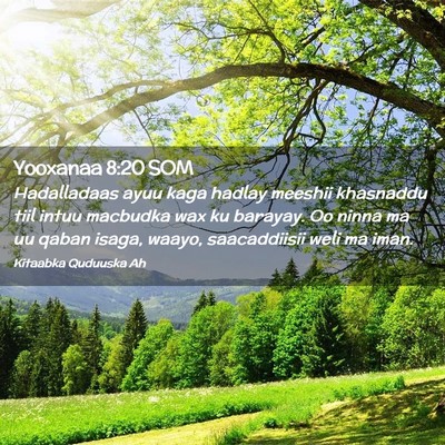 Picture 02 - Yooxanaa 8:20 SOM - Hadalladaas ayuu kaga hadlay meeshii khasnaddu - Bible Verse Picture