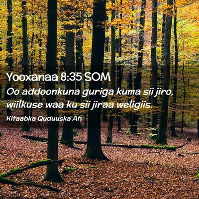 Picture 02 - Yooxanaa 8:35 SOM - Oo addoonkuna guriga kuma sii jiro, wiilkuse waa - Bible Verse Picture