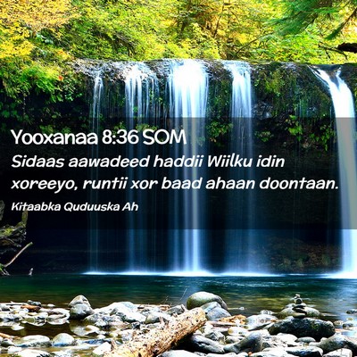 Picture 02 - Yooxanaa 8:36 SOM - Sidaas aawadeed haddii Wiilku idin xoreeyo, - Bible Verse Picture