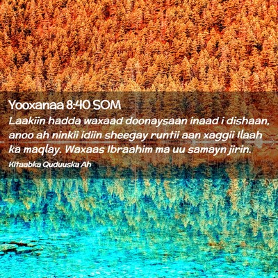 Picture 02 - Yooxanaa 8:40 SOM - Laakiin hadda waxaad doonaysaan inaad i dishaan, - Bible Verse Picture