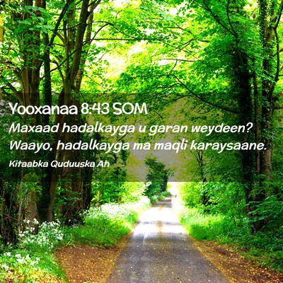 Picture 02 - Yooxanaa 8:43 SOM - Maxaad hadalkayga u garan weydeen? Waayo, - Bible Verse Picture