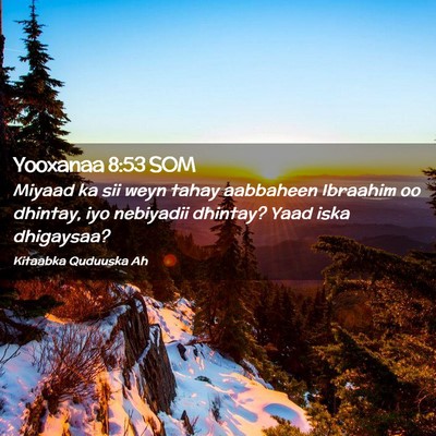 Picture 02 - Yooxanaa 8:53 SOM - Miyaad ka sii weyn tahay aabbaheen Ibraahim oo - Bible Verse Picture
