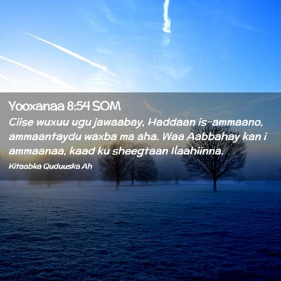 Picture 02 - Yooxanaa 8:54 SOM - Ciise wuxuu ugu jawaabay, Haddaan is-ammaano, - Bible Verse Picture