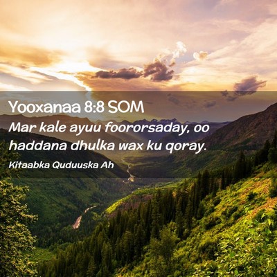 Picture 02 - Yooxanaa 8:8 SOM - Mar kale ayuu foororsaday, oo haddana dhulka wax - Bible Verse Picture