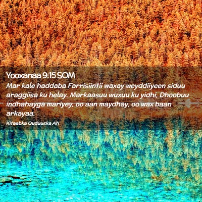 Picture 02 - Yooxanaa 9:15 SOM - Mar kale haddaba Farrisiintii waxay weyddiiyeen - Bible Verse Picture