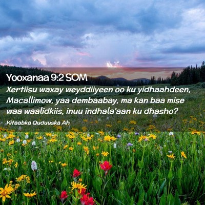 Picture 02 - Yooxanaa 9:2 SOM - Xertiisu waxay weyddiiyeen oo ku yidhaahdeen, - Bible Verse Picture