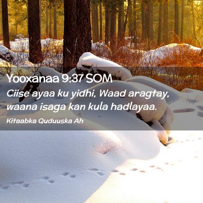 Picture 02 - Yooxanaa 9:37 SOM - Ciise ayaa ku yidhi, Waad aragtay, waana isaga - Bible Verse Picture