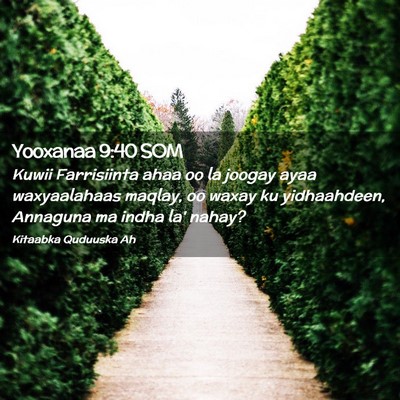 Picture 02 - Yooxanaa 9:40 SOM - Kuwii Farrisiinta ahaa oo la joogay ayaa - Bible Verse Picture