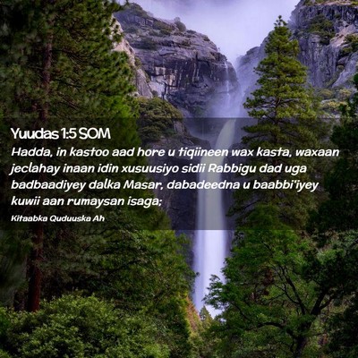Picture 02 - Yuudas 1:5 SOM - Hadda, in kastoo aad hore u tiqiineen wax kasta, - Bible Verse Picture