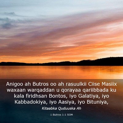 Picture 03 - 1 Butros 1:1 SOM - Anigoo ah Butros oo ah rasuulkii Ciise Masiix - Bible Verse Picture