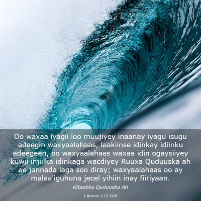 Picture 03 - 1 Butros 1:12 SOM - Oo waxaa iyagii loo muujiyey inaanay iyagu isugu - Bible Verse Picture
