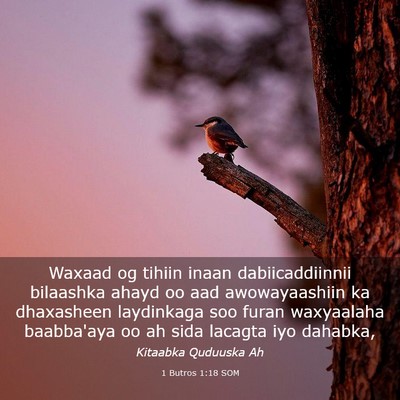 Picture 03 - 1 Butros 1:18 SOM - Waxaad og tihiin inaan dabiicaddiinnii bilaashka - Bible Verse Picture