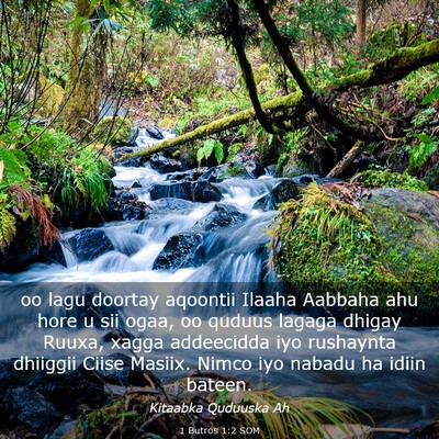 Picture 03 - 1 Butros 1:2 SOM - oo lagu doortay aqoontii Ilaaha Aabbaha ahu hore - Bible Verse Picture
