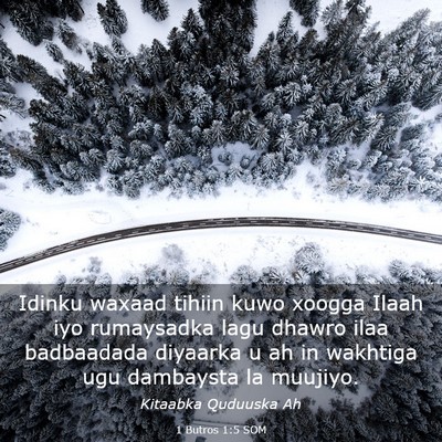 Picture 03 - 1 Butros 1:5 SOM - Idinku waxaad tihiin kuwo xoogga Ilaah iyo - Bible Verse Picture