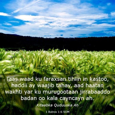 Picture 03 - 1 Butros 1:6 SOM - Taas waad ku faraxsan tihiin in kastoo, haddii ay - Bible Verse Picture
